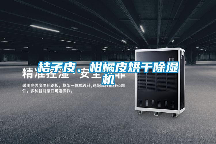 桔子皮、柑橘皮烘干除濕機(jī)