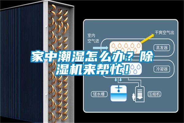 家中潮濕怎么辦？除濕機來幫忙！