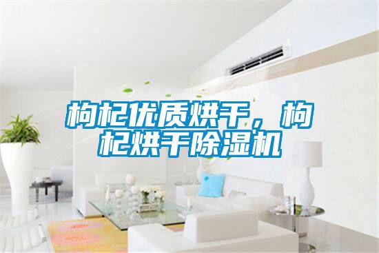 枸杞優(yōu)質(zhì)烘干，枸杞烘干除濕機(jī)
