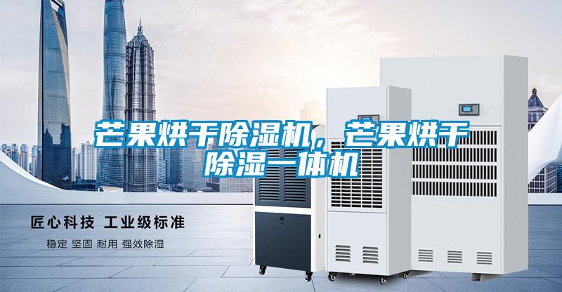 芒果烘干除濕機(jī)，芒果烘干除濕一體機(jī)