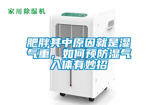 肥胖其中原因就是濕氣重，如何預(yù)防濕氣入體有妙招