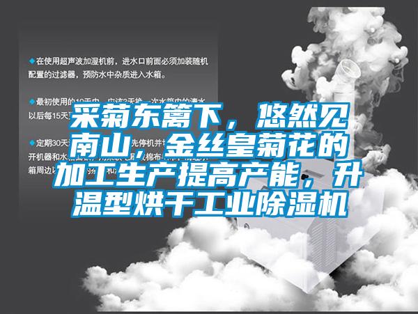 采菊東籬下，悠然見南山，金絲皇菊花的加工生產(chǎn)提高產(chǎn)能，升溫型烘干工業(yè)除濕機