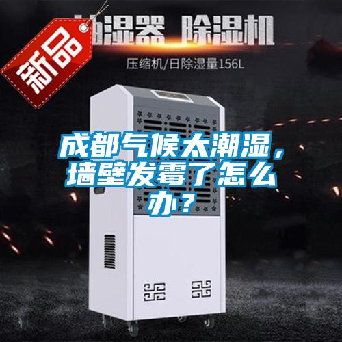 成都?xì)夂蛱睗?，墻壁發(fā)霉了怎么辦？