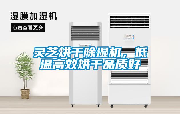 靈芝烘干除濕機(jī)，低溫高效烘干品質(zhì)好