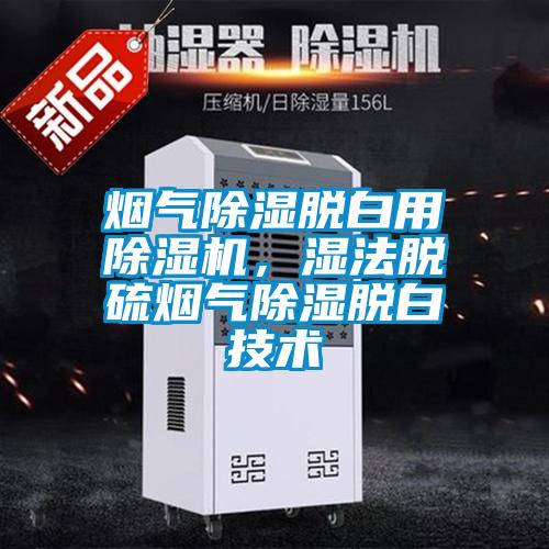 煙氣除濕脫白用除濕機(jī)，濕法脫硫煙氣除濕脫白技術(shù)