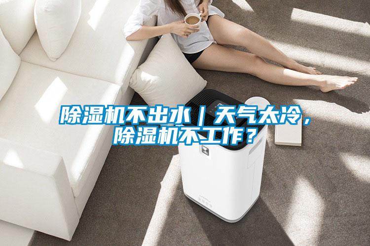 除濕機不出水｜天氣太冷，除濕機不工作？