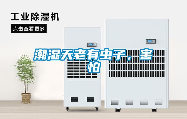潮濕天老有蟲(chóng)子，害怕