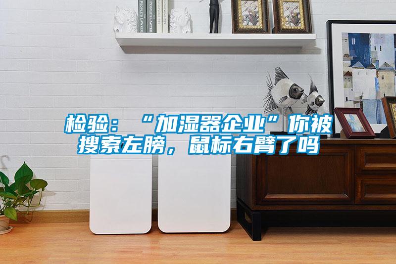 檢驗(yàn)：“加濕器企業(yè)”你被搜索左膀，鼠標(biāo)右臂了嗎