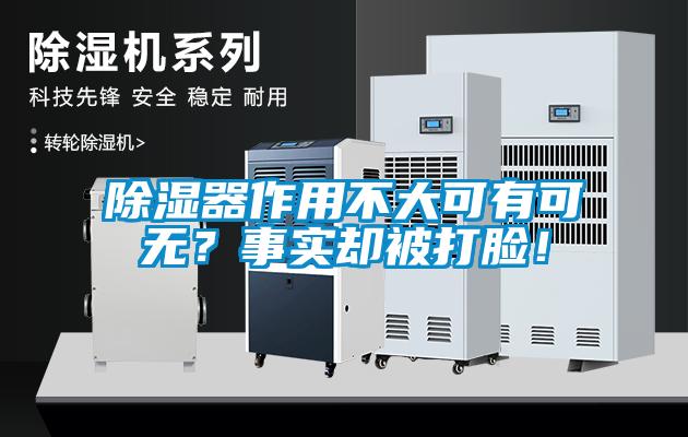 除濕器作用不大可有可無？事實(shí)卻被打臉！