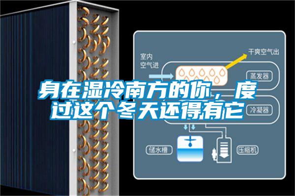 身在濕冷南方的你，度過(guò)這個(gè)冬天還得有它
