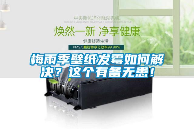 梅雨季壁紙發(fā)霉如何解決？這個有備無患！