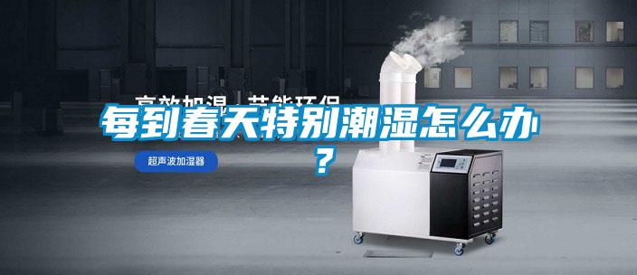 每到春天特別潮濕怎么辦？