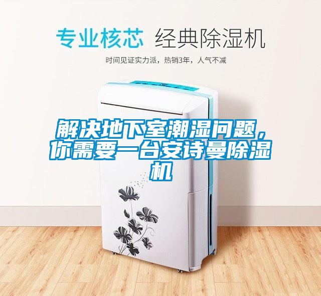 解決地下室潮濕問題，你需要一臺(tái)安詩(shī)曼除濕機(jī)