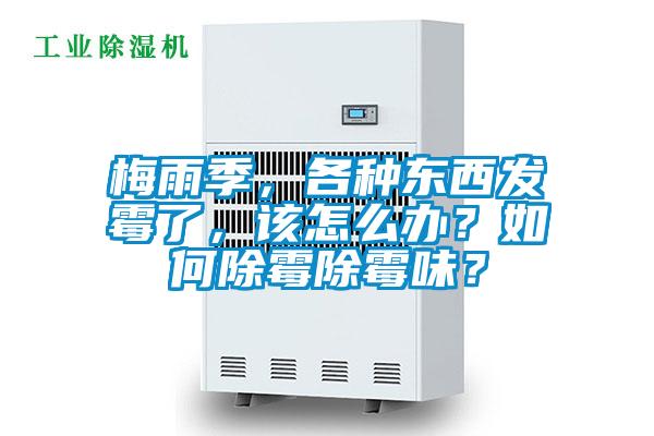 梅雨季，各種東西發(fā)霉了，該怎么辦？如何除霉除霉味？