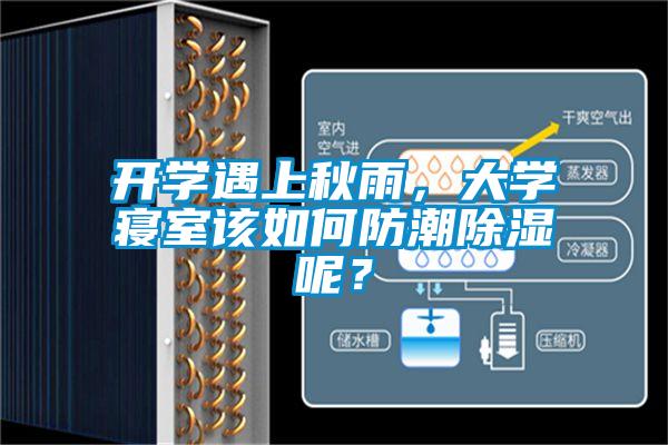 開學(xué)遇上秋雨，大學(xué)寢室該如何防潮除濕呢？