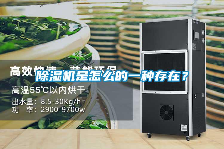 除濕機是怎么的一種存在？