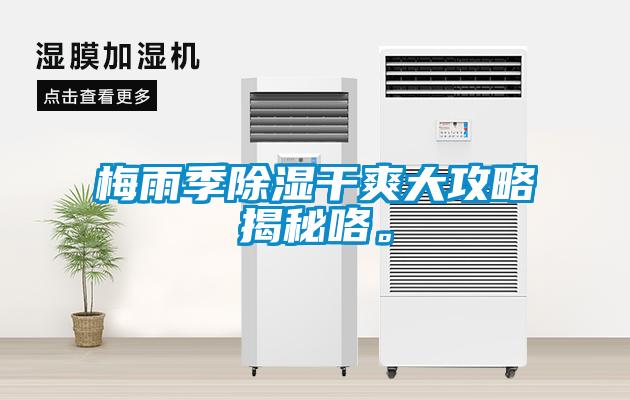 梅雨季除濕干爽大攻略揭秘咯。