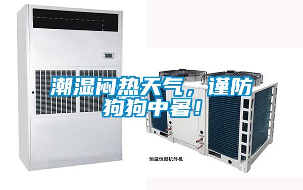 潮濕悶熱天氣，謹防狗狗中暑！