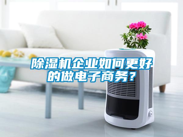 除濕機(jī)企業(yè)如何更好的做電子商務(wù)？
