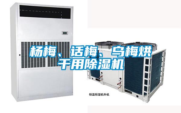楊梅、話梅、烏梅烘干用除濕機(jī)