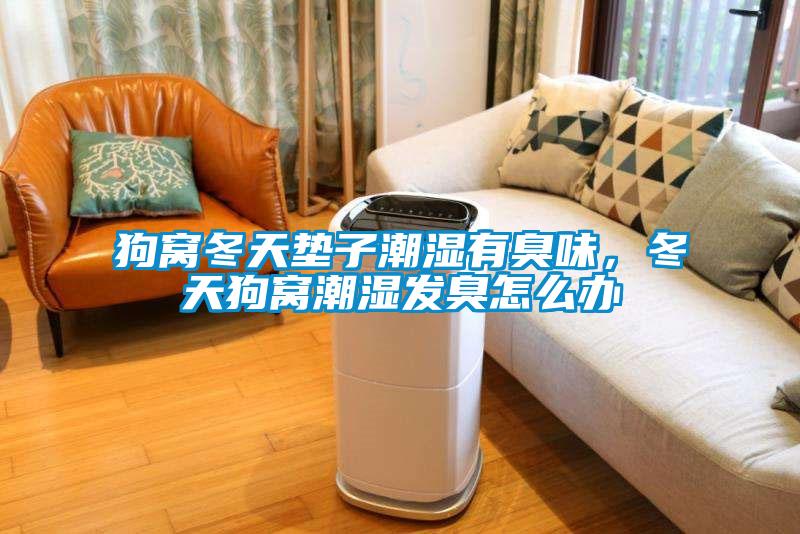 狗窩冬天墊子潮濕有臭味，冬天狗窩潮濕發(fā)臭怎么辦