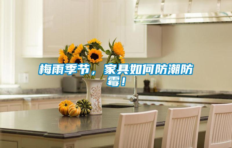梅雨季節(jié)，家具如何防潮防霉！