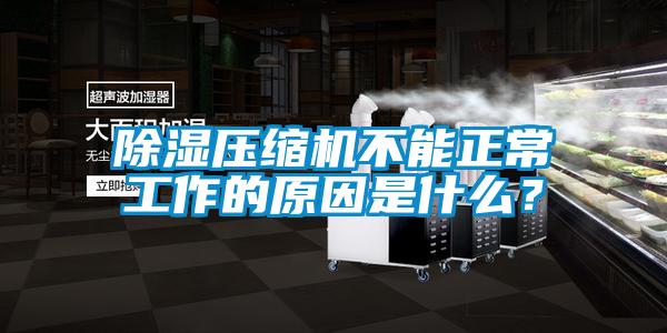 除濕壓縮機不能正常工作的原因是什么？