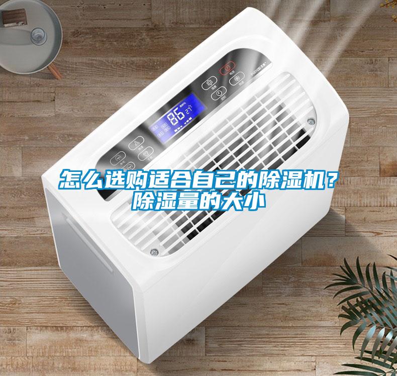 怎么選購適合自己的除濕機？除濕量的大小