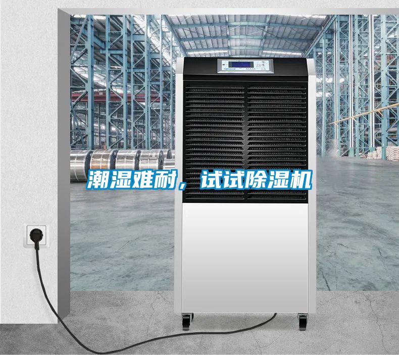 潮濕難耐，試試除濕機(jī)