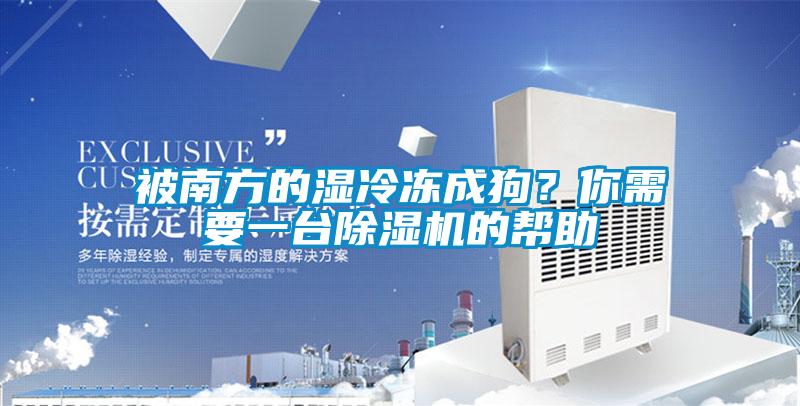 被南方的濕冷凍成狗？你需要一臺(tái)除濕機(jī)的幫助