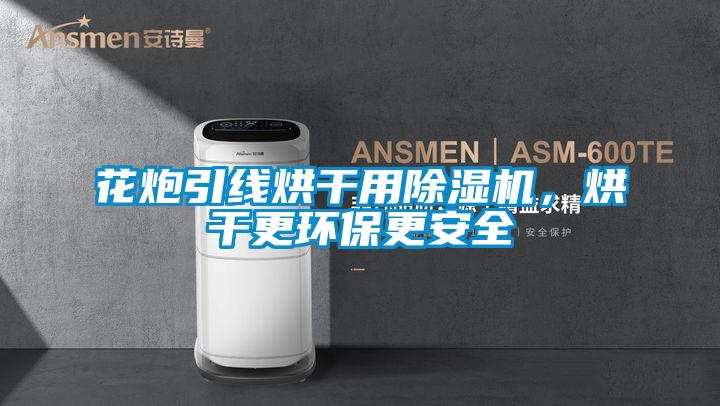 花炮引線烘干用除濕機，烘干更環(huán)保更安全