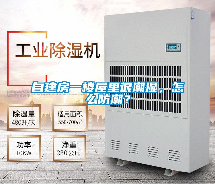 自建房一樓屋里很潮濕，怎么防潮？