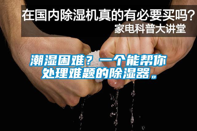 潮濕困難？一個(gè)能幫你處理難題的除濕器。