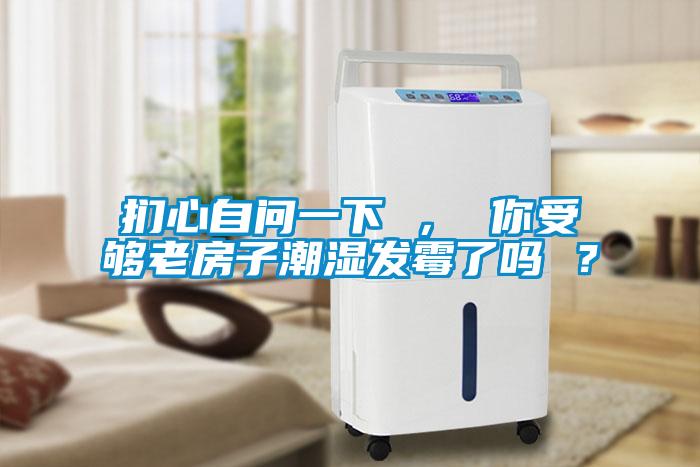 捫心自問一下 ， 你受夠老房子潮濕發(fā)霉了嗎 ？