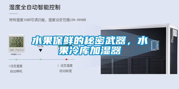 水果保鮮的秘密武器，水果冷庫加濕器