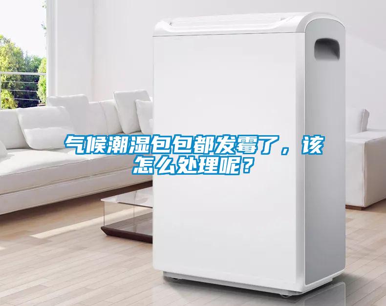 氣候潮濕包包都發(fā)霉了，該怎么處理呢？