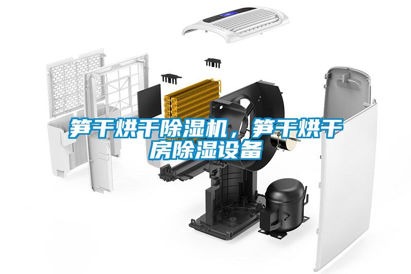 筍干烘干除濕機，筍干烘干房除濕設(shè)備