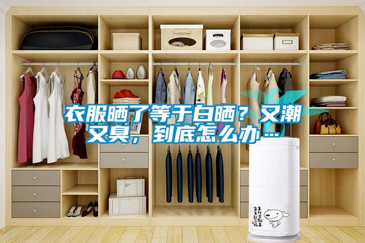 衣服曬了等于白曬？又潮又臭，到底怎么辦…