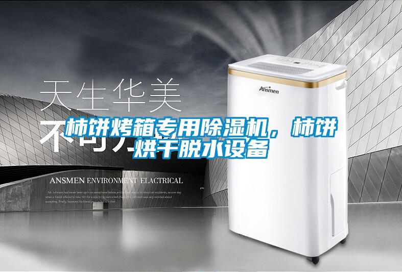 柿餅烤箱專用除濕機(jī)，柿餅烘干脫水設(shè)備