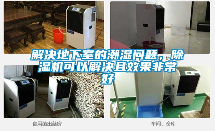 解決地下室的潮濕問題，除濕機(jī)可以解決且效果非常好