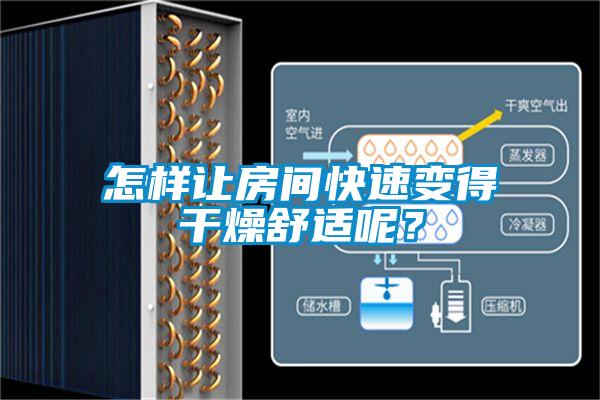 怎樣讓房間快速變得干燥舒適呢？
