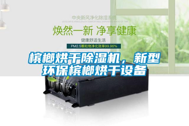 檳榔烘干除濕機(jī)，新型環(huán)保檳榔烘干設(shè)備