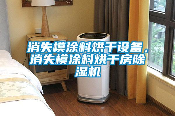 消失模涂料烘干設(shè)備，消失模涂料烘干房除濕機(jī)