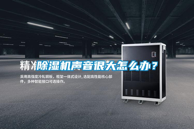 除濕機(jī)聲音很大怎么辦？