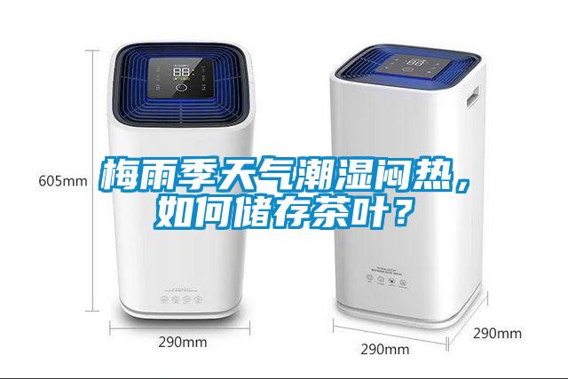 梅雨季天氣潮濕悶熱，如何儲(chǔ)存茶葉？