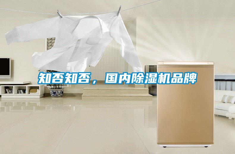 知否知否，國(guó)內(nèi)除濕機(jī)品牌