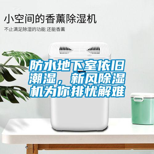 防水地下室依舊潮濕，新風(fēng)除濕機(jī)為你排憂解難