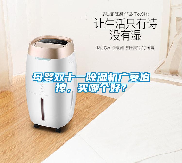 母嬰雙十一除濕機廣受追捧，買哪個好？