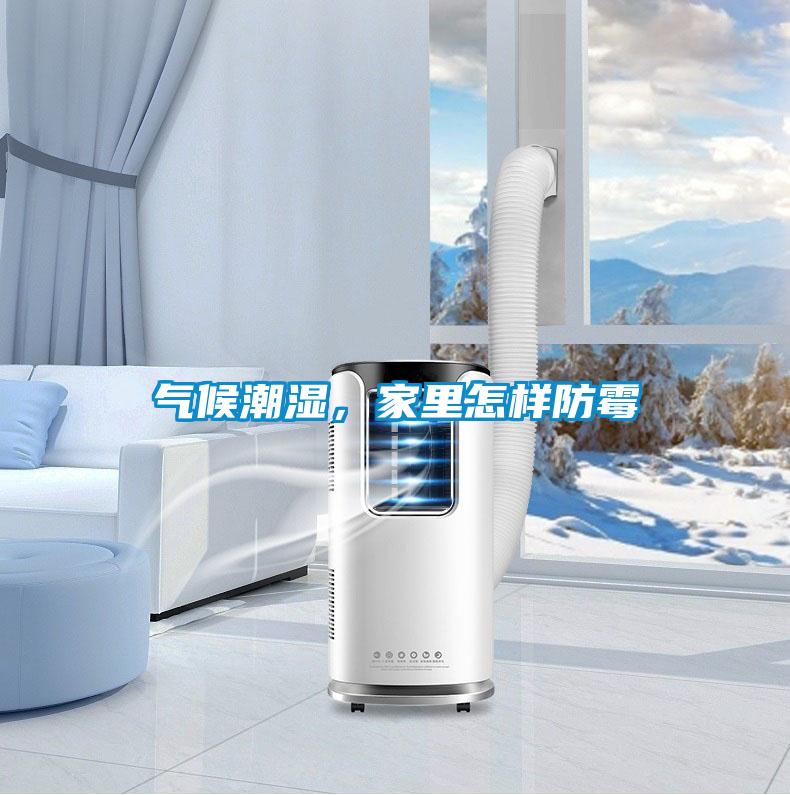 氣候潮濕，家里怎樣防霉