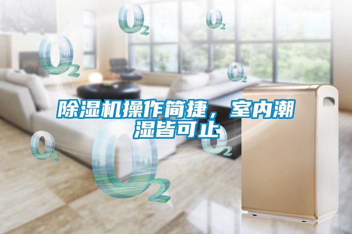 除濕機(jī)操作簡捷，室內(nèi)潮濕皆可止